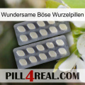 Wundersame Böse Wurzelpillen 07